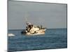 Us Coast Guard, Key West, Florida, USA-R H Productions-Mounted Photographic Print
