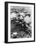 US Dive Bombers-null-Framed Photographic Print