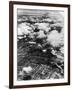 US Dive Bombers-null-Framed Photographic Print