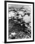 US Dive Bombers-null-Framed Photographic Print