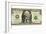 US Dollar Bill, George Washington Parody-SMETEK-Framed Photographic Print