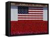 US Flag on Barn and Tulip Field, Skagit Valley, Washington, USA-William Sutton-Framed Stretched Canvas