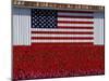 US Flag on Barn and Tulip Field, Skagit Valley, Washington, USA-William Sutton-Mounted Photographic Print