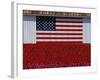 US Flag on Barn and Tulip Field, Skagit Valley, Washington, USA-William Sutton-Framed Photographic Print