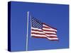 US Flag Reflection, Long Beach, Washington, USA-null-Stretched Canvas