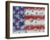 US Flag Reflection, Washington, USA-Jamie & Judy Wild-Framed Premium Photographic Print