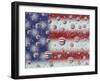 US Flag Reflection, Washington, USA-Jamie & Judy Wild-Framed Premium Photographic Print