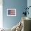 US Flag Reflection, Washington, USA-Jamie & Judy Wild-Framed Premium Photographic Print displayed on a wall