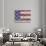US Flag Reflection, Washington, USA-Jamie & Judy Wild-Photographic Print displayed on a wall