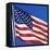 US Flag-Nathan Griffith-Framed Stretched Canvas