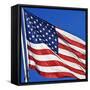 US Flag-Nathan Griffith-Framed Stretched Canvas