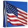 US Flag-Nathan Griffith-Stretched Canvas