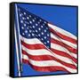 US Flag-Nathan Griffith-Framed Stretched Canvas