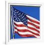 US Flag-Nathan Griffith-Framed Photographic Print