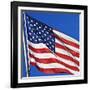 US Flag-Nathan Griffith-Framed Photographic Print