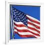 US Flag-Nathan Griffith-Framed Photographic Print