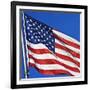 US Flag-Nathan Griffith-Framed Photographic Print