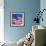 US Flag-Nathan Griffith-Framed Photographic Print displayed on a wall