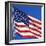 US Flag-Nathan Griffith-Framed Photographic Print