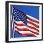 US Flag-Nathan Griffith-Framed Photographic Print