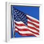 US Flag-Nathan Griffith-Framed Photographic Print