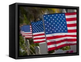 Us Flags Attached to a Fence in Key West, Florida, United States of America, North America-Donald Nausbaum-Framed Stretched Canvas