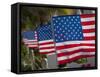 Us Flags Attached to a Fence in Key West, Florida, United States of America, North America-Donald Nausbaum-Framed Stretched Canvas