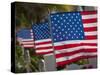 Us Flags Attached to a Fence in Key West, Florida, United States of America, North America-Donald Nausbaum-Stretched Canvas