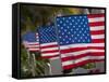 Us Flags Attached to a Fence in Key West, Florida, United States of America, North America-Donald Nausbaum-Framed Stretched Canvas