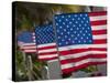 Us Flags Attached to a Fence in Key West, Florida, United States of America, North America-Donald Nausbaum-Stretched Canvas