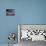 Us Flags Attached to a Fence in Key West, Florida, United States of America, North America-Donald Nausbaum-Photographic Print displayed on a wall