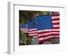 Us Flags Attached to a Fence in Key West, Florida, United States of America, North America-Donald Nausbaum-Framed Photographic Print