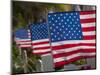 Us Flags Attached to a Fence in Key West, Florida, United States of America, North America-Donald Nausbaum-Mounted Photographic Print