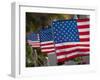 Us Flags Attached to a Fence in Key West, Florida, United States of America, North America-Donald Nausbaum-Framed Photographic Print