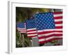 Us Flags Attached to a Fence in Key West, Florida, United States of America, North America-Donald Nausbaum-Framed Photographic Print