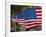 Us Flags Attached to a Fence in Key West, Florida, United States of America, North America-Donald Nausbaum-Framed Photographic Print