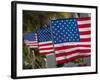 Us Flags Attached to a Fence in Key West, Florida, United States of America, North America-Donald Nausbaum-Framed Photographic Print