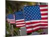 Us Flags Attached to a Fence in Key West, Florida, United States of America, North America-Donald Nausbaum-Mounted Photographic Print