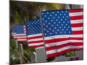 Us Flags Attached to a Fence in Key West, Florida, United States of America, North America-Donald Nausbaum-Mounted Photographic Print