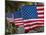 Us Flags Attached to a Fence in Key West, Florida, United States of America, North America-Donald Nausbaum-Mounted Photographic Print