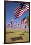 US Flags for 9/11 Memorial-Joseph Sohm-Framed Premium Photographic Print