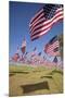 US Flags for 9/11 Memorial-Joseph Sohm-Mounted Premium Photographic Print