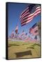 US Flags for 9/11 Memorial-Joseph Sohm-Framed Stretched Canvas