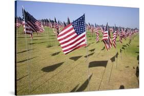 US Flags for 9/11 Memorial-Joseph Sohm-Stretched Canvas