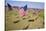 US Flags for 9/11 Memorial-Joseph Sohm-Stretched Canvas