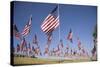 US Flags for 9/11 Memorial-Joseph Sohm-Stretched Canvas