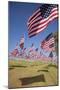 US Flags for 9/11 Memorial-Joseph Sohm-Mounted Photographic Print