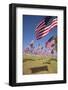 US Flags for 9/11 Memorial-Joseph Sohm-Framed Photographic Print