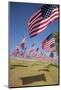 US Flags for 9/11 Memorial-Joseph Sohm-Mounted Photographic Print