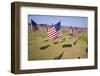 US Flags for 9/11 Memorial-Joseph Sohm-Framed Photographic Print